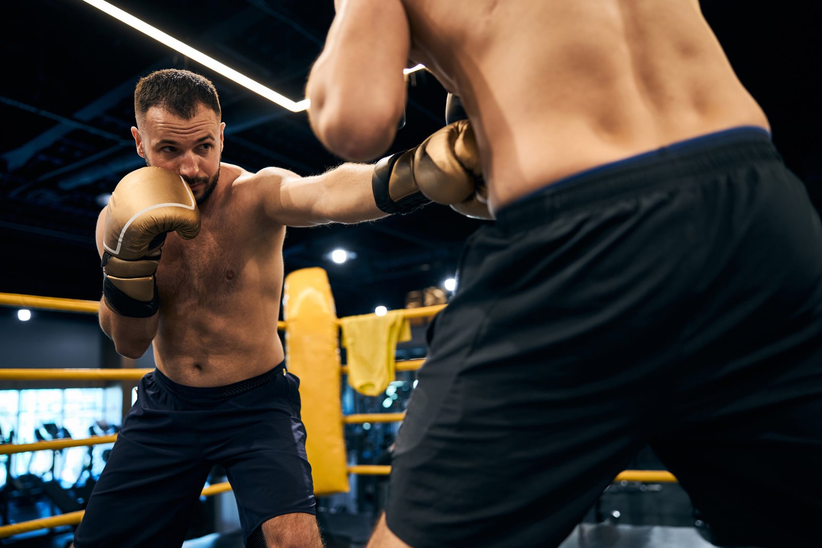 MMA (Artes Marciales Mixtas)
